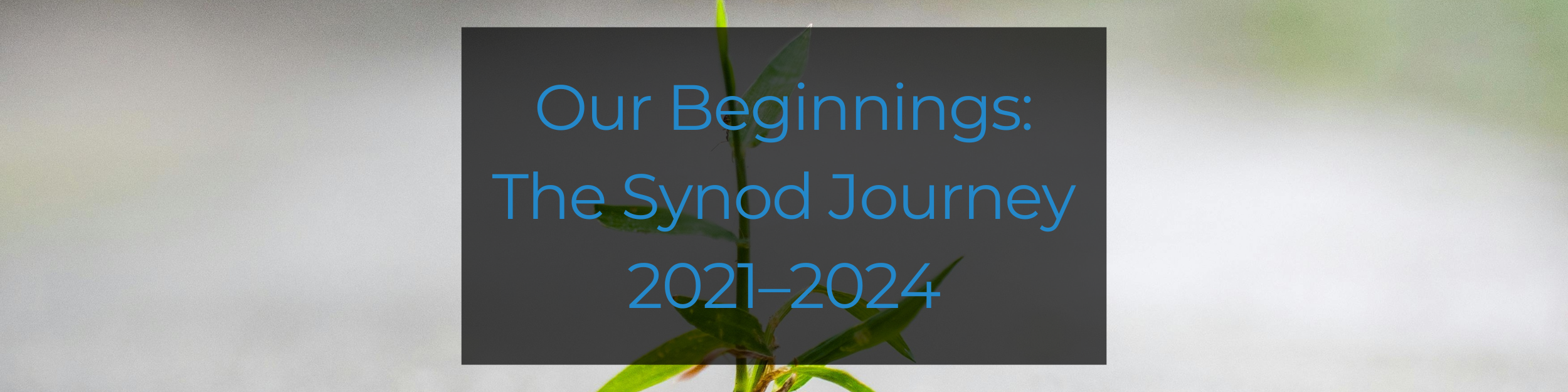 2 - our beginnings-1