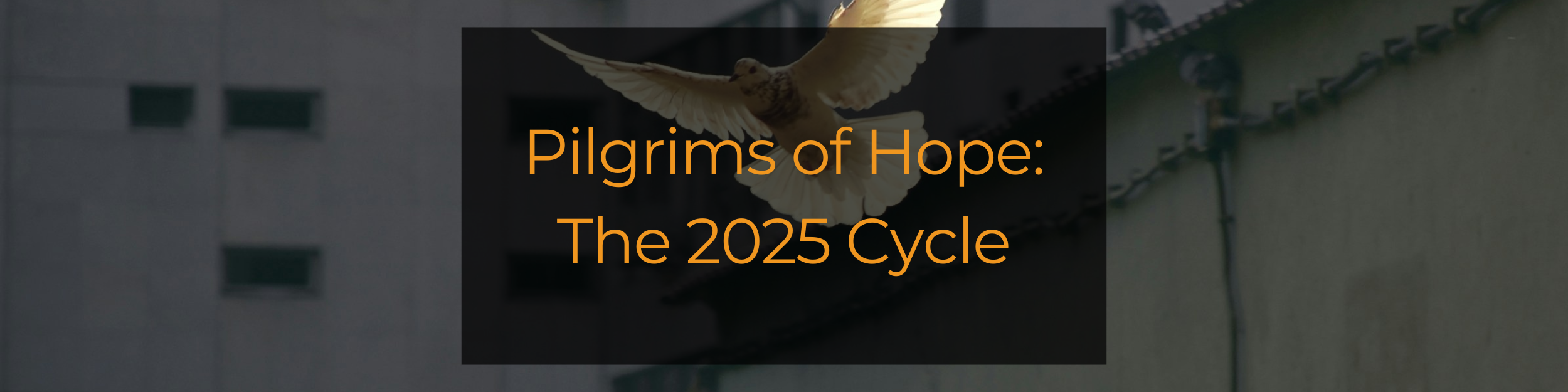 5 - pilgrims of hope-1