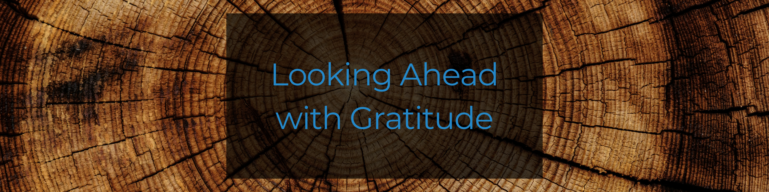 8 - Looking Ahead with Gratitude-1