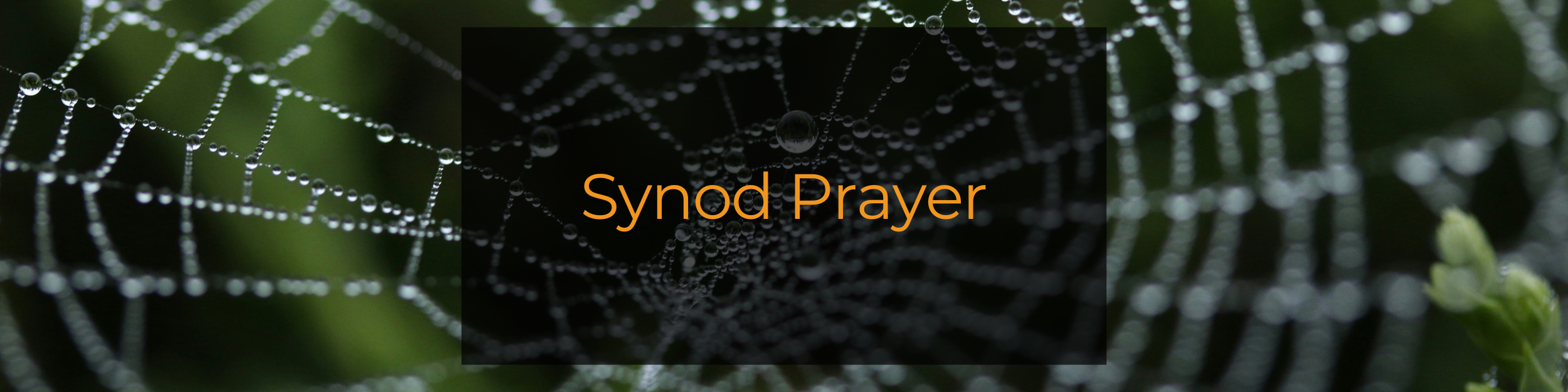 9 - synod prayer-1