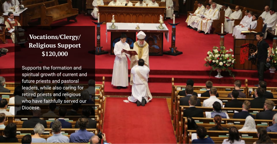 Appeal Webpage graphics (2)