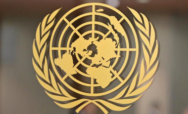 UNDRIP-1