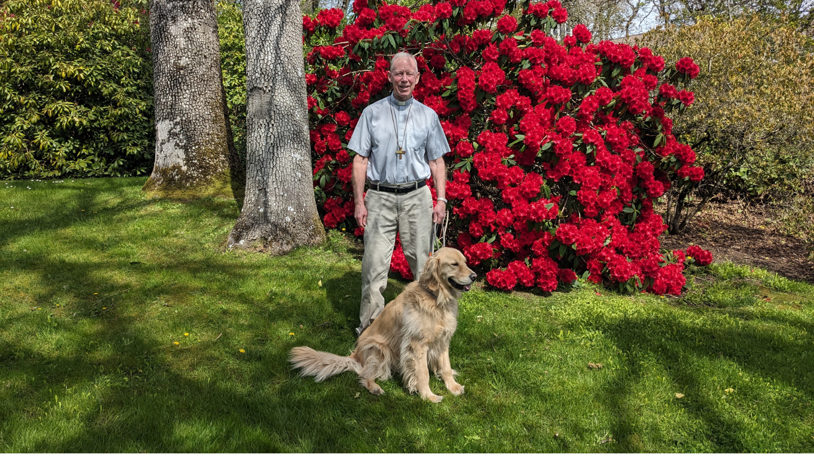 Bishop Gary Gordon stands on a green lawn with Taku, a golden retriever, sitting at his feet. Behind them is a large, vibrant red rhododendron bush in full bloom, flanked by tall tree trunks and other greenery. The scene is bright and sunny.