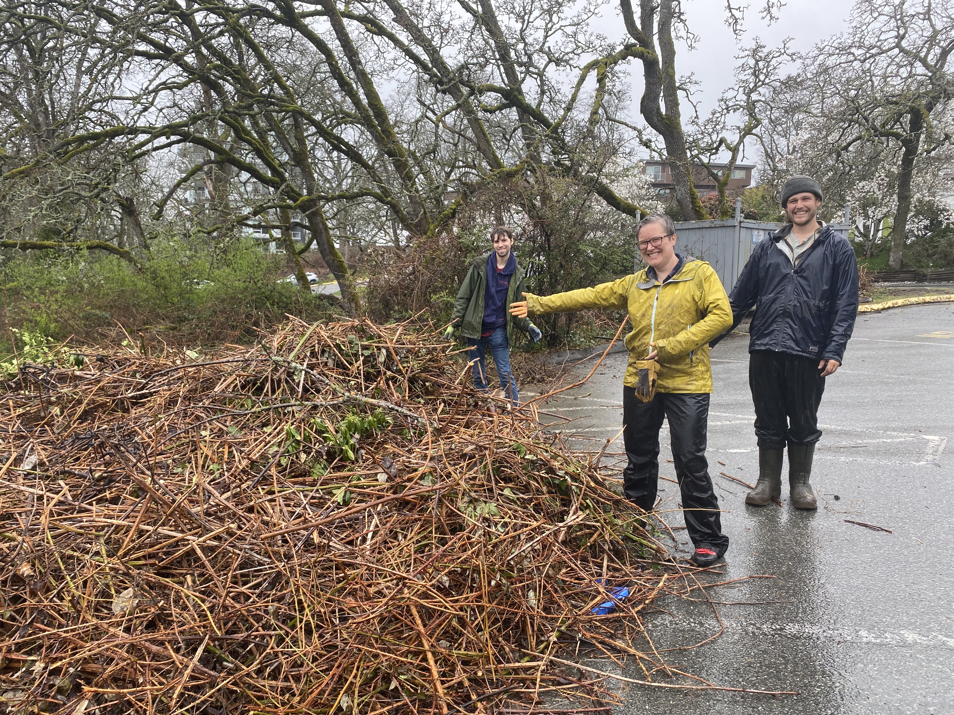 Three people pose next to a large pile of cut down blackberry canes