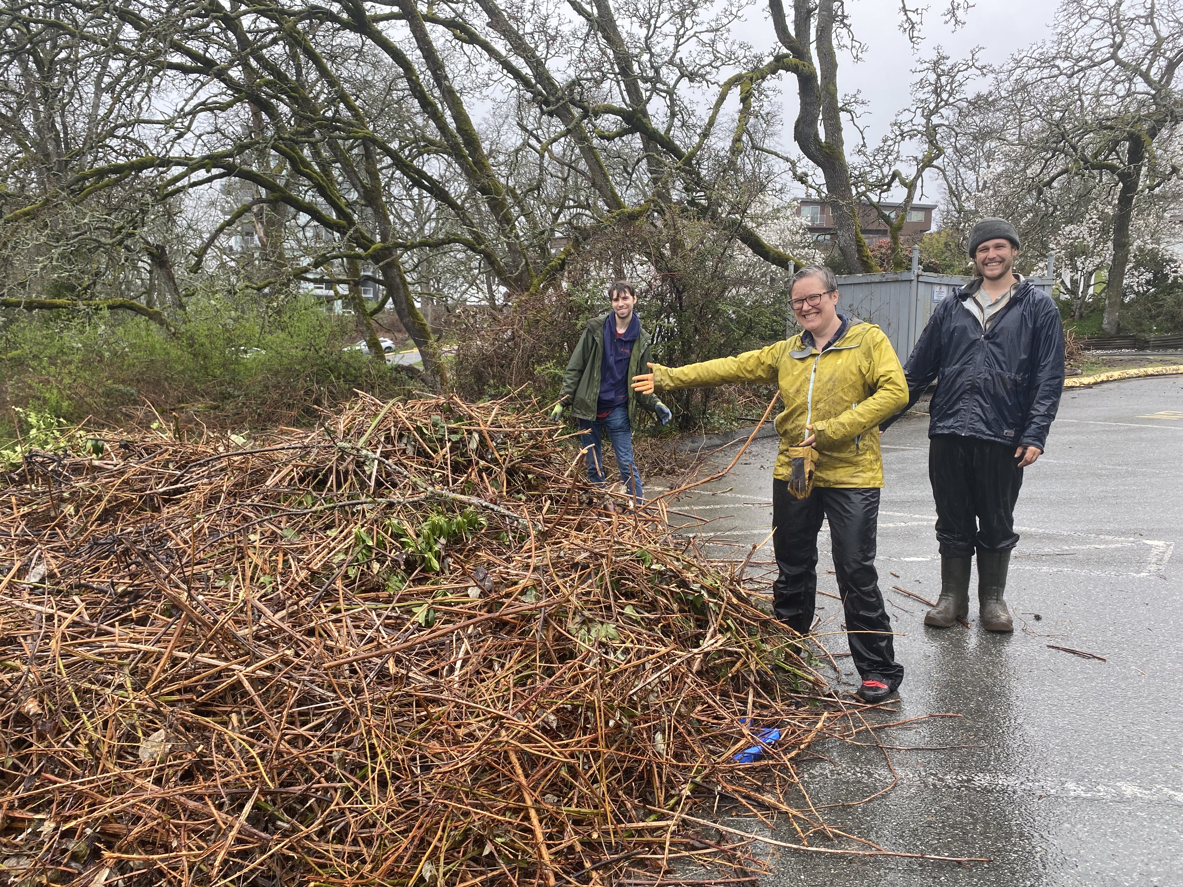 Garry Oak Ecosystem Restoration Update