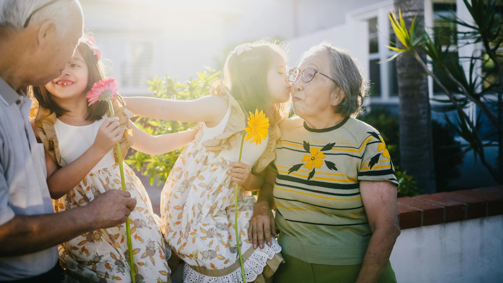July 27: World Day for Grandparents and the Elderly