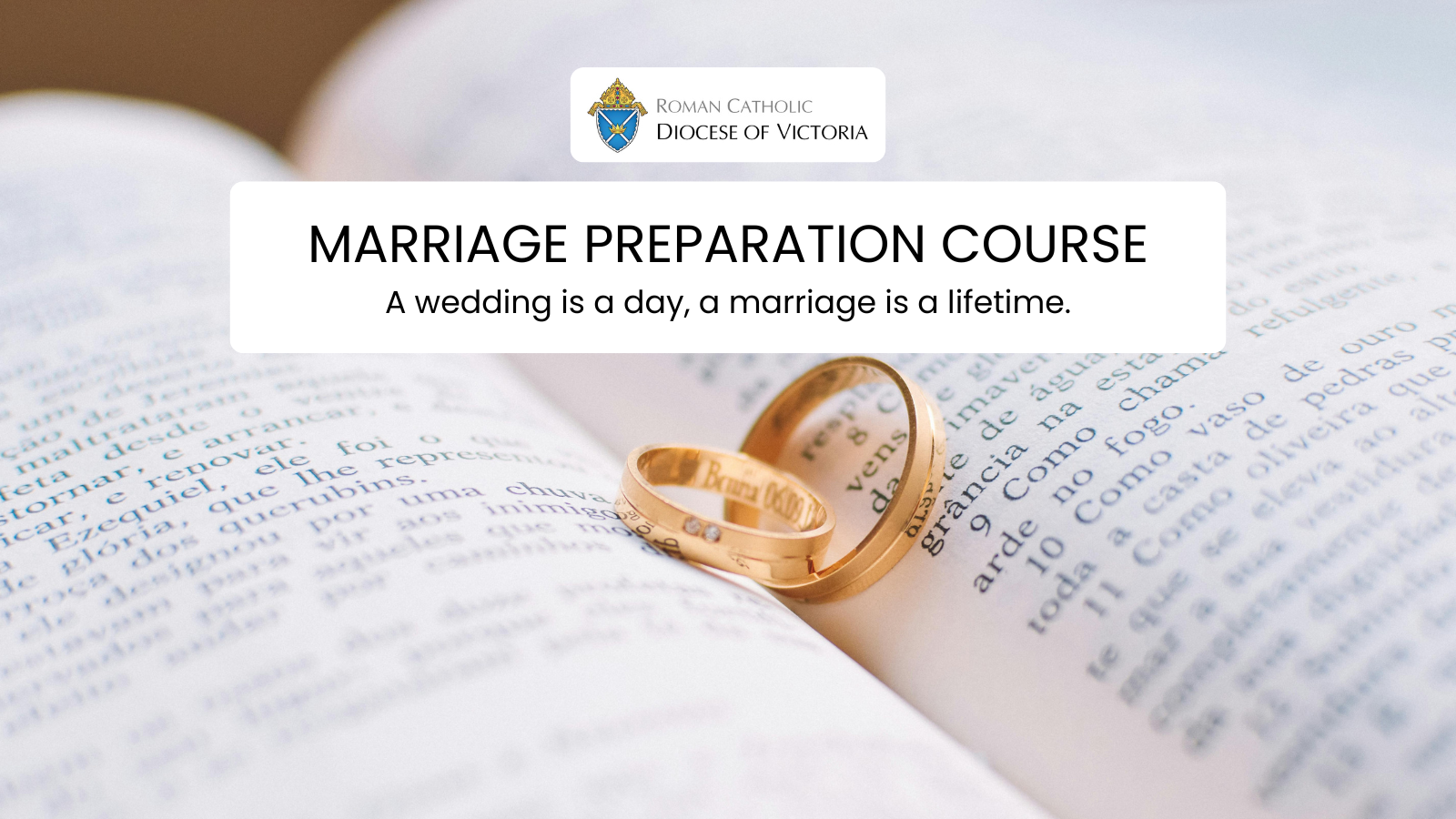 Two golden rings sitting on the pages of a bible