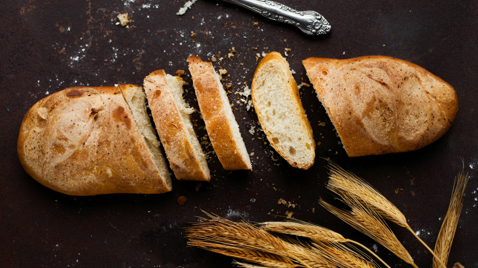 Our Daily Bread: Food Security & the Call to Solidarity