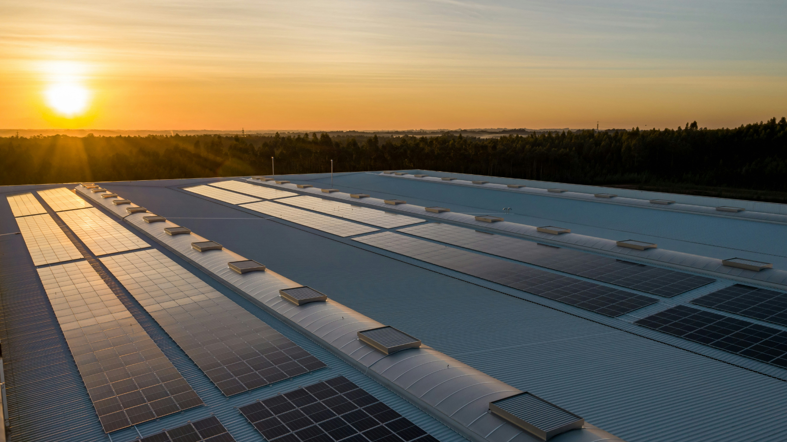 Shining a Light on Creation: How Solar Energy is Powering Hope on Vancouver Island