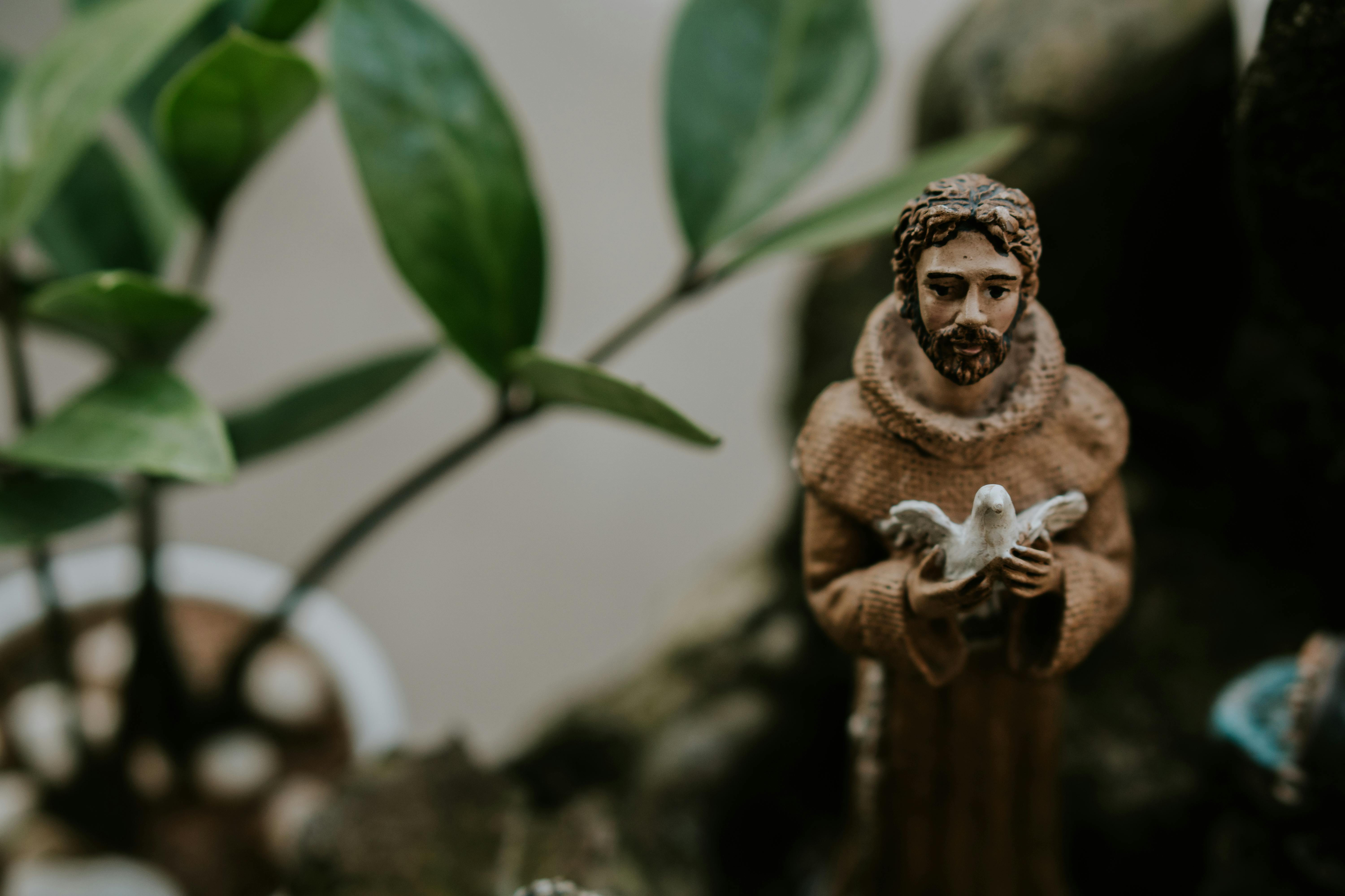 The Year of St. Francis