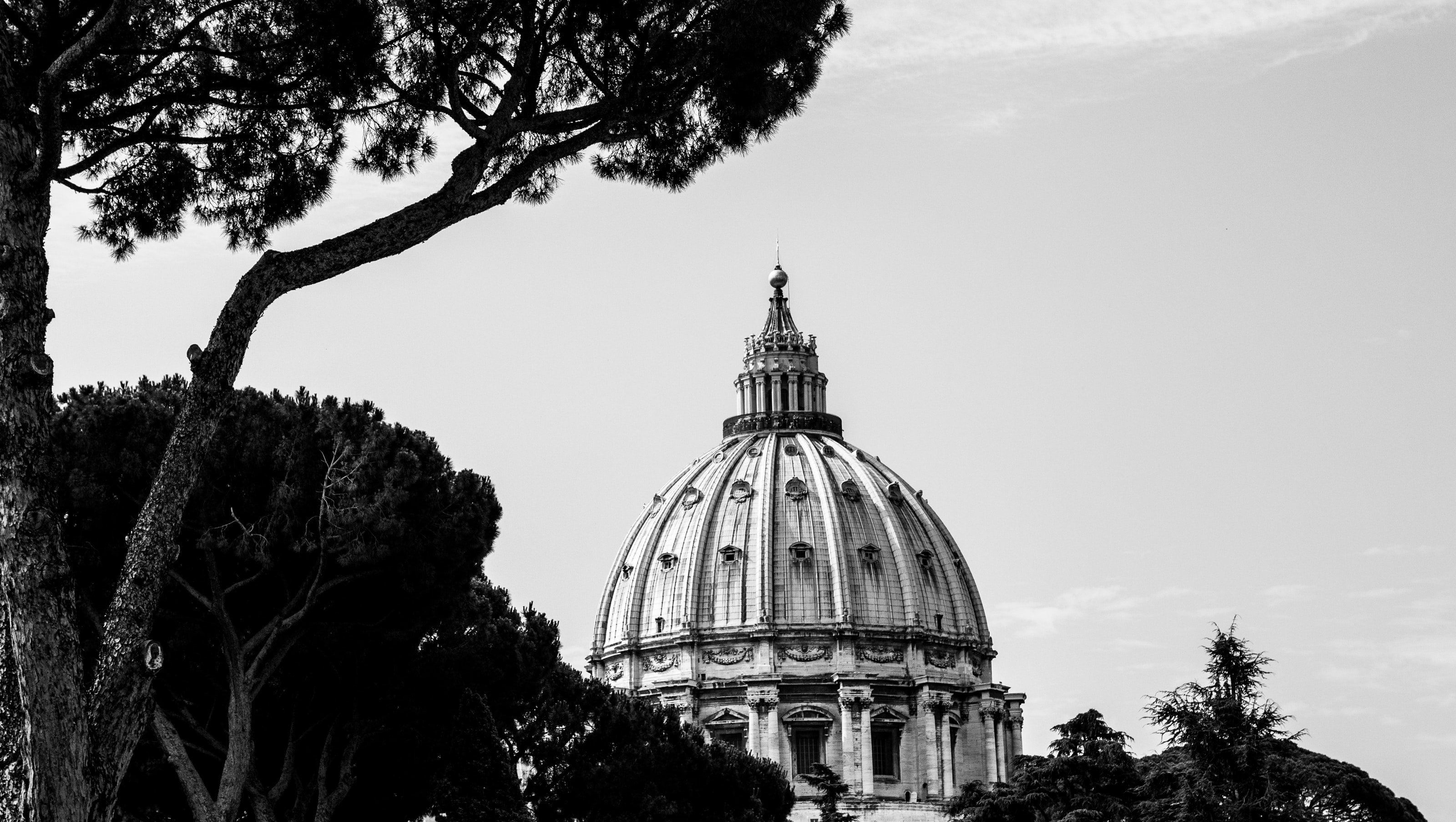 Black and white image of St. Peter's Basilica, Rome, viewed from a distance with trees in the foreground